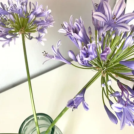 公寓 Studio_suite05